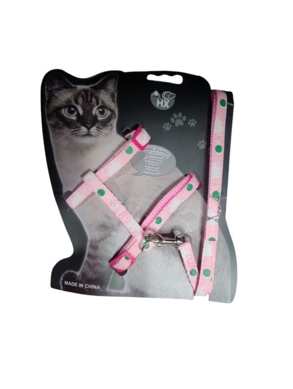 ARNES PARA GATOS