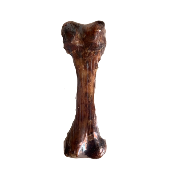 Femur Natural de Porcino